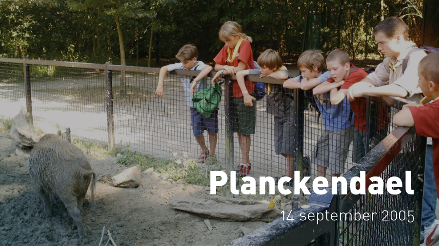 Welpen in Planckendael (14 september 2005)